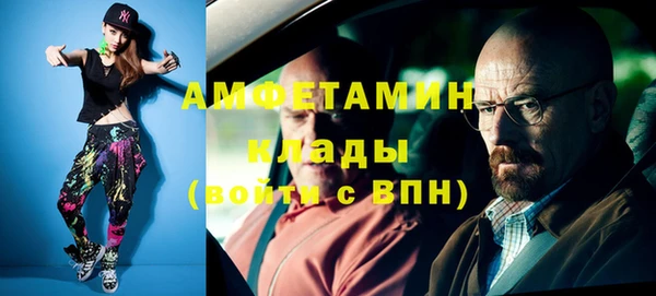 молекула духа Арсеньев