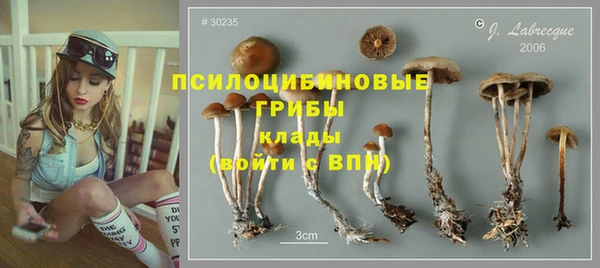 мескалин Аркадак