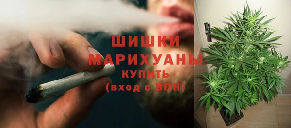 молекула духа Арсеньев