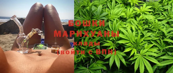 молекула духа Арсеньев