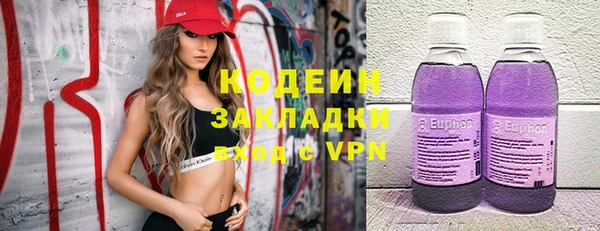 молекула духа Арсеньев