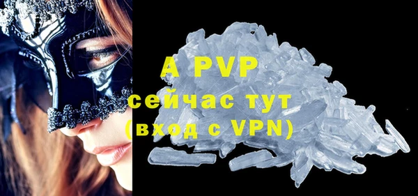 молекула духа Арсеньев